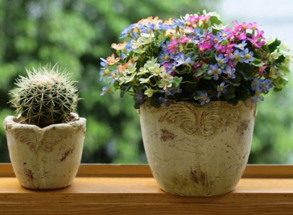 养花土里有蚂蚁怎么处理,养花的土里有蚂蚁怎么处理