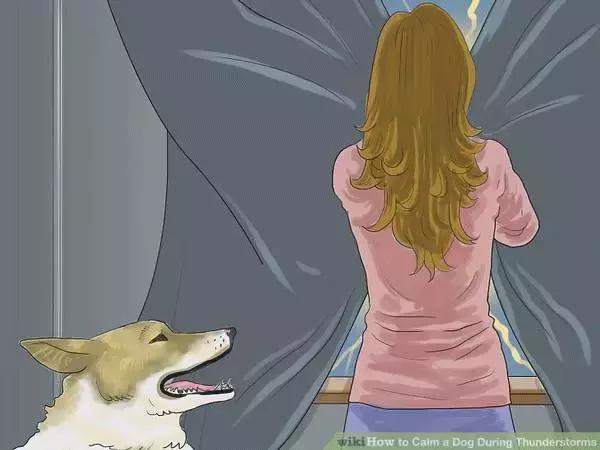 狗狗特别怕打雷怎么办,狗狗害怕打雷闪电怎么办