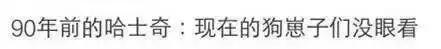 哈士奇刷新了我对二哈的认知,这只哈士奇颠覆了我对二哈的看法