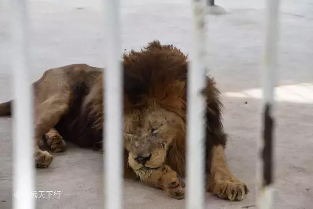 三亚合适小朋友玩的景区,儿童度假旅行三亚