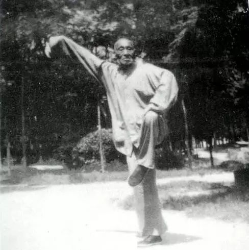 五虎上将武功卓著,杨氏太极拳领军人物