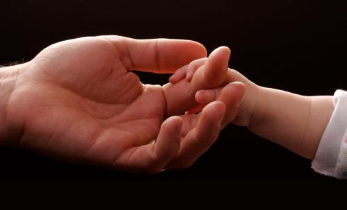 奶粉怎么辨别真假金领冠,合生元奶粉如何辨别真假