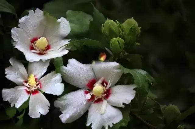 今日“白露”，为了健康，南安人应该怎么做？（附视频）