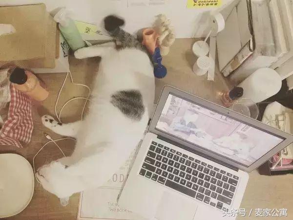 单身独居女青年,必备租房布置攻略