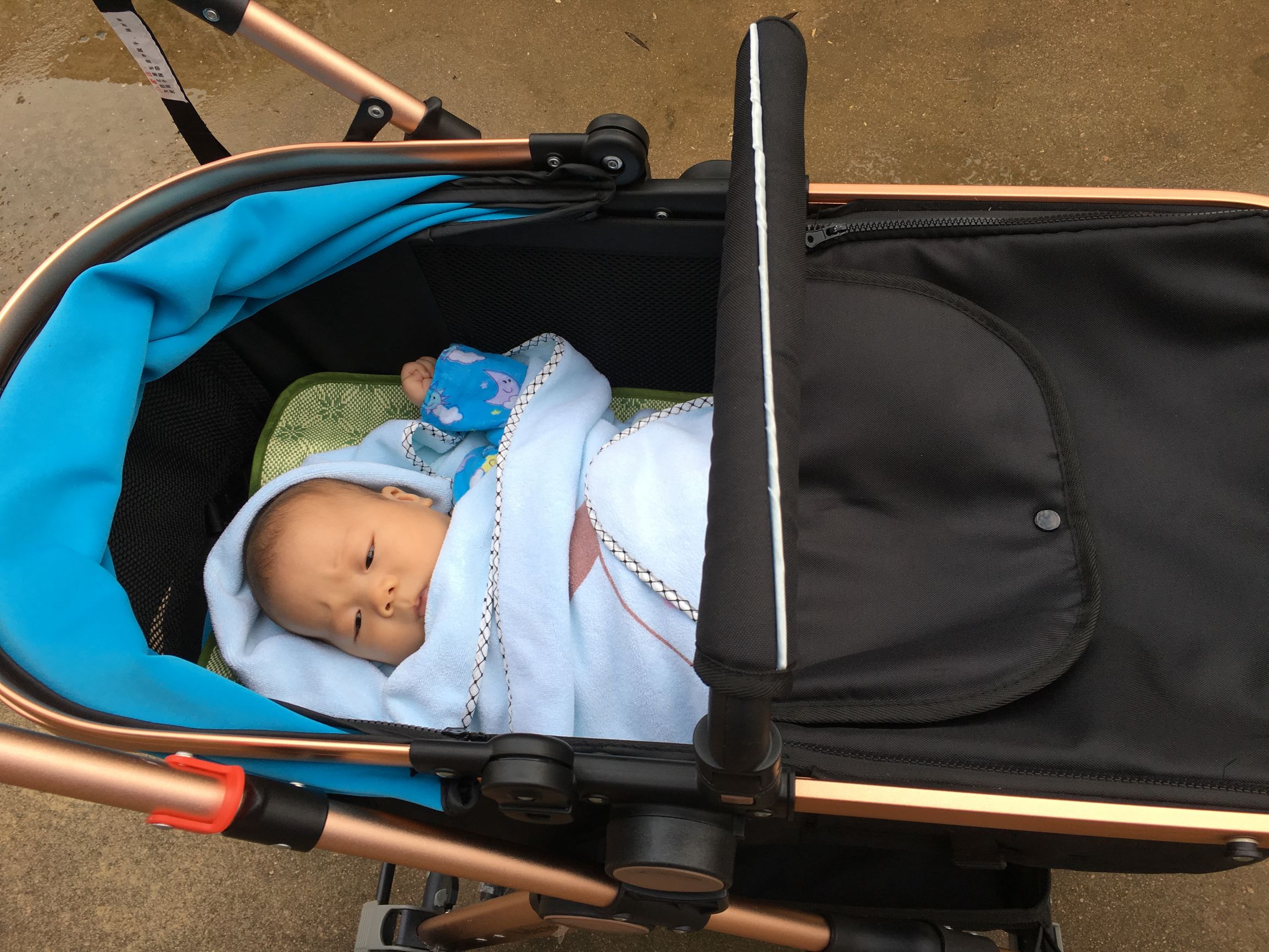 三个月婴儿发育标准表图片,三个月宝宝的发育实录