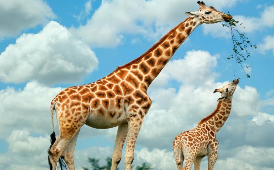 地球从来不缺少神秘，盘点地球上10大关于自然的谜团