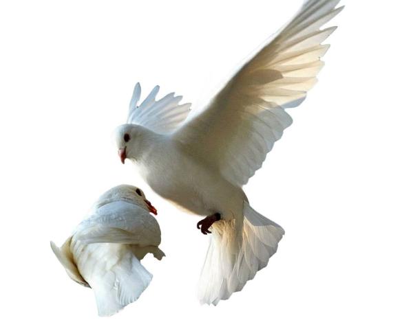 地球从来不缺少神秘，盘点地球上10大关于自然的谜团