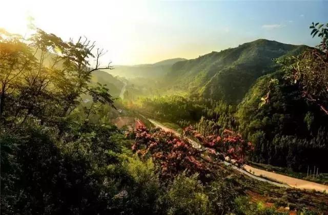 在济宁必须知道的事情,在济宁有什么好干的活儿