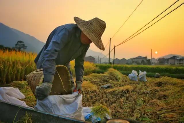 因为一句话恋上一座城,因为一个人恋上一座城