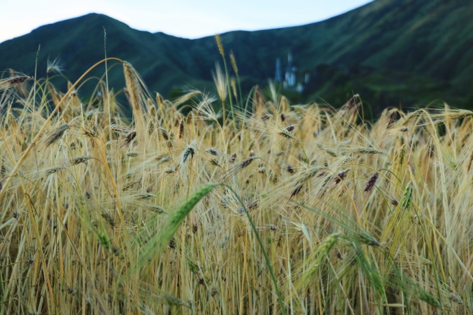 佳能相机购买指南图解,佳能相机开箱验机的步骤