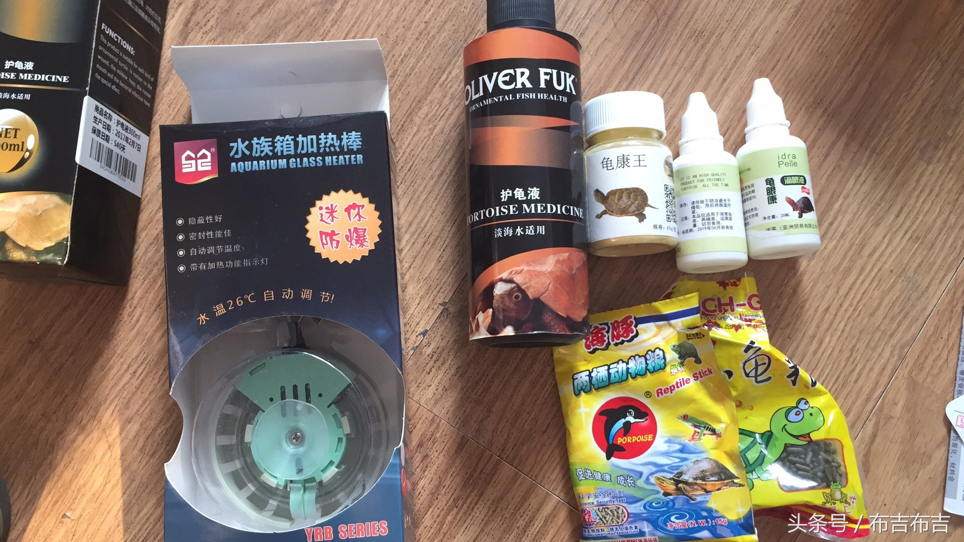 致龟友的一篇乱养乌龟血泪史