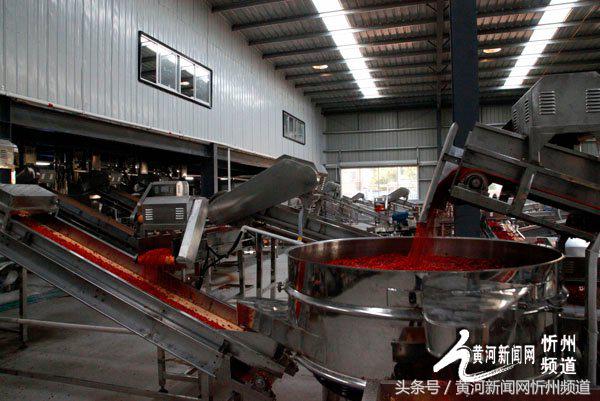 2021忻州辣椒基地,忻州辣椒产业园在哪