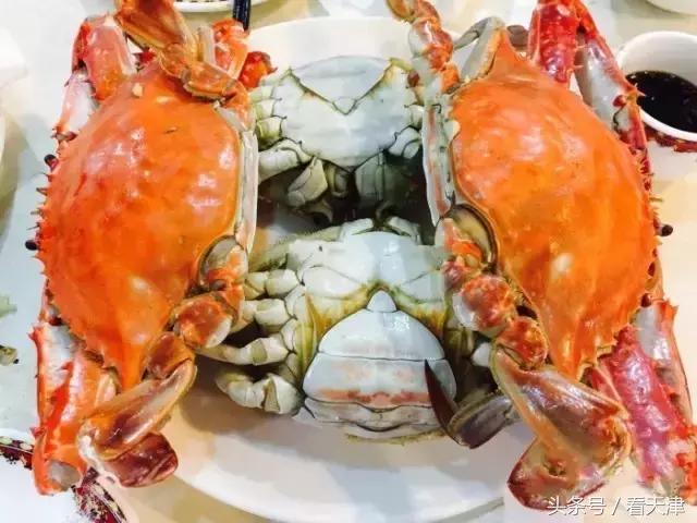 天津开海后的第一波海鲜,开海了一大波新鲜海鲜已上市