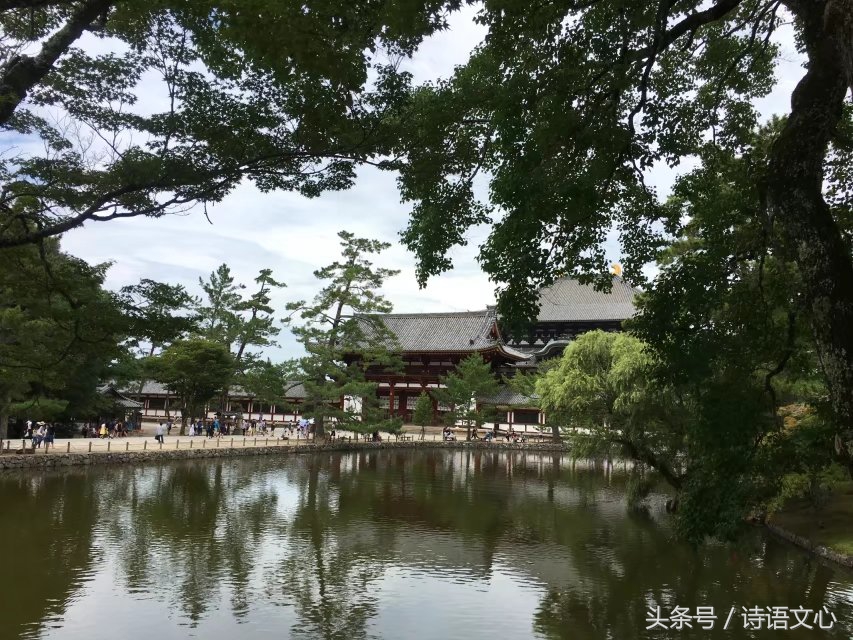 暑假带娃去部队看亲人,带娃去拉练