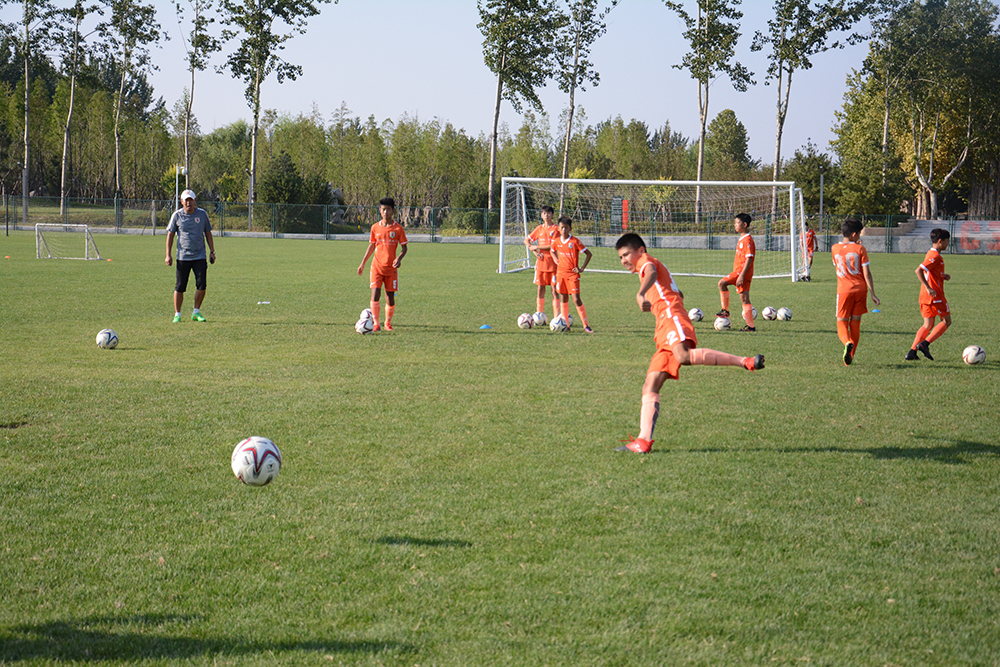 鲁能u14梯队,2018青超联赛u14鲁能身高要求