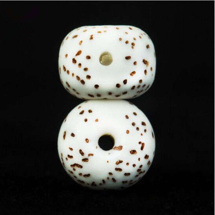 海南星月菩提,星月菩提介绍书籍