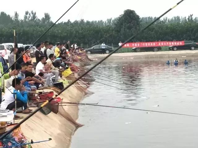 行营钓鱼节,行营钓具比赛视频