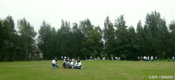 浙江玉环漩门湾国家湿地公园灯光,浙江玉环漩门湾湿地公园拍鸟