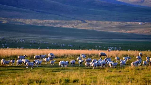 张家口之夜景色真的很美,从来没有见过的张家口美景