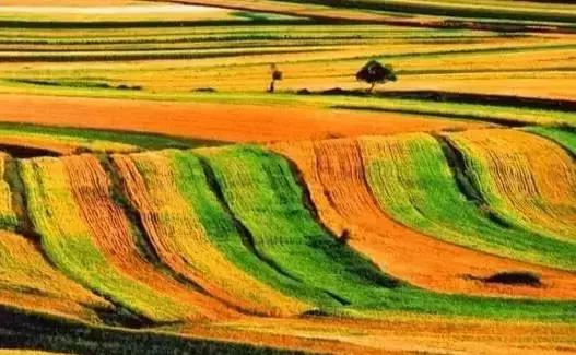 张家口之夜景色真的很美,从来没有见过的张家口美景