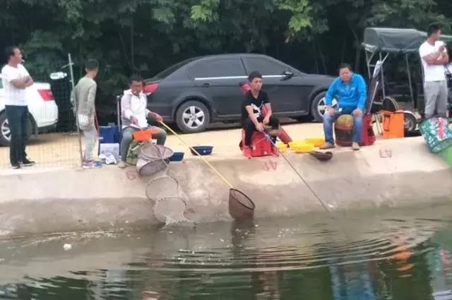 行营钓鱼节,行营钓具比赛视频