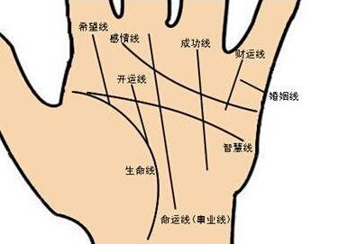 手相预测婚姻状况,通过手相怎么看婚姻情况好坏呢