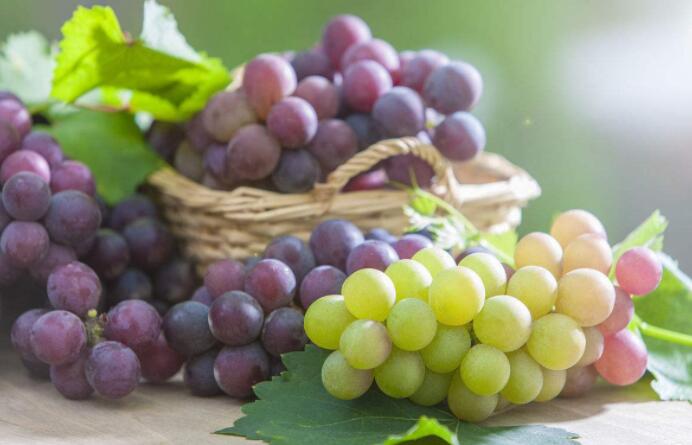 鼻梁色素沉着黑斑怎么祛除,眼镜压过鼻梁黑色素沉积