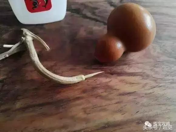 葫芦老掉龙头怎么办,葫芦的龙头快掉了怎么办