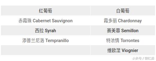 阿根廷马尔贝克红酒特点,马尔贝克干红葡萄酒阿根廷