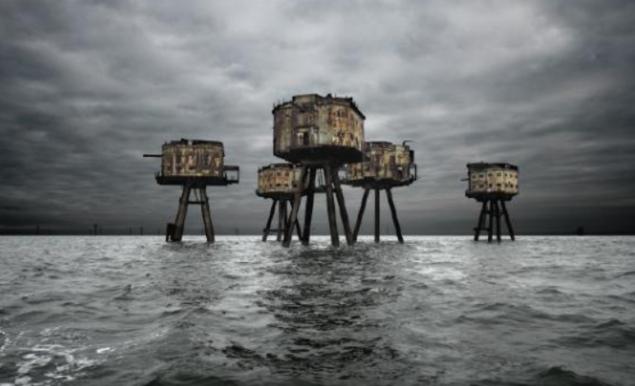 成为欧洲贵族，拥有“永生”爵位，只需要一袋猫粮的价格