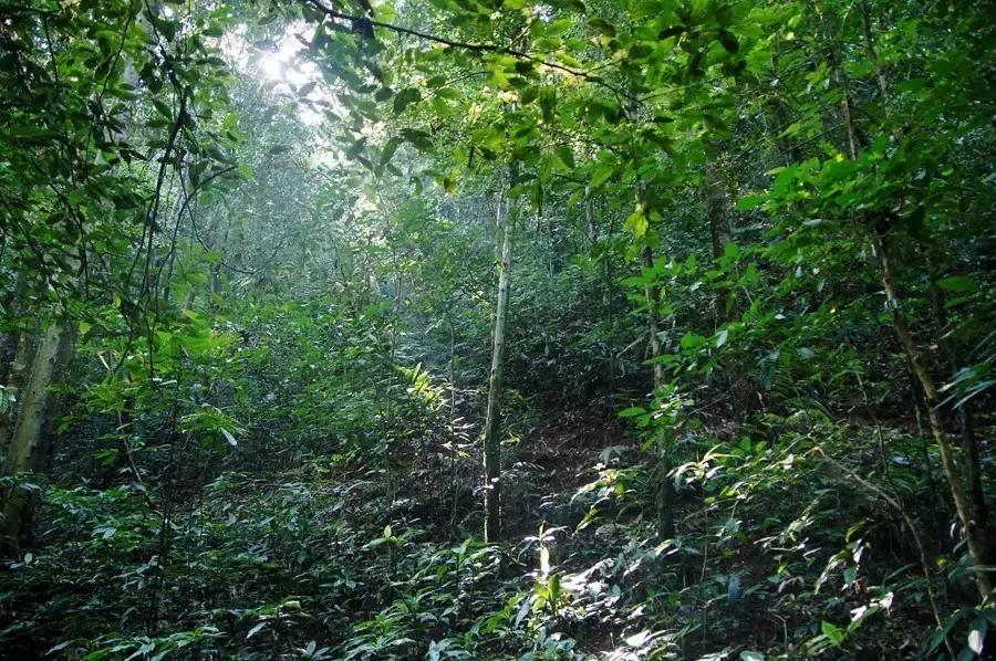 元旦成都出发两天一夜旅游攻略,成都出发三四天旅游推荐国庆