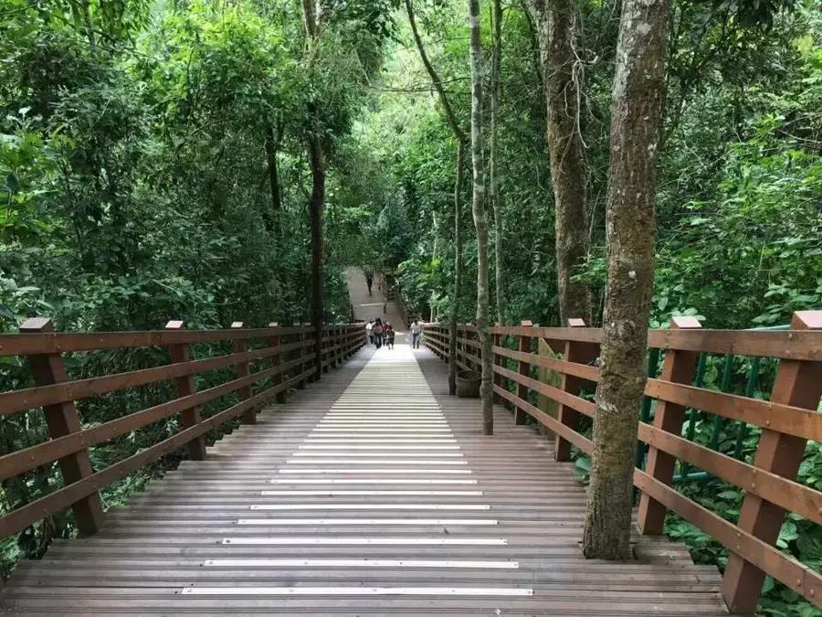 元旦成都出发两天一夜旅游攻略,成都出发三四天旅游推荐国庆