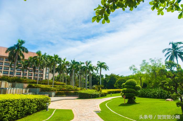 玄学大师香港李居明,李居明大师讲聚宝盆应该放啥