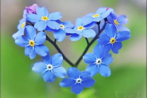 巨婴症是什么症,巨婴症介绍