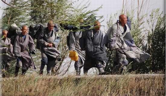 最清净的寺院,不可错过的人间净土寺庙