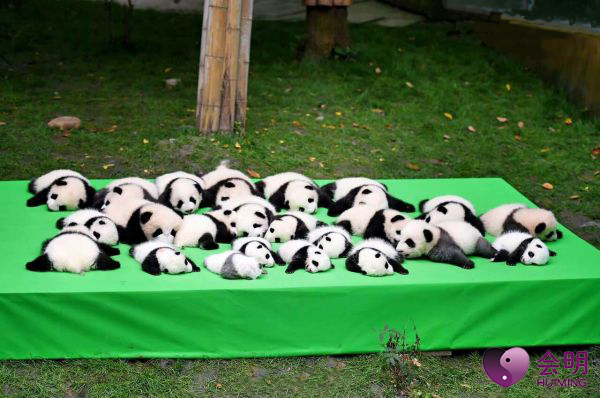 密集恐惧症个人该如何克服