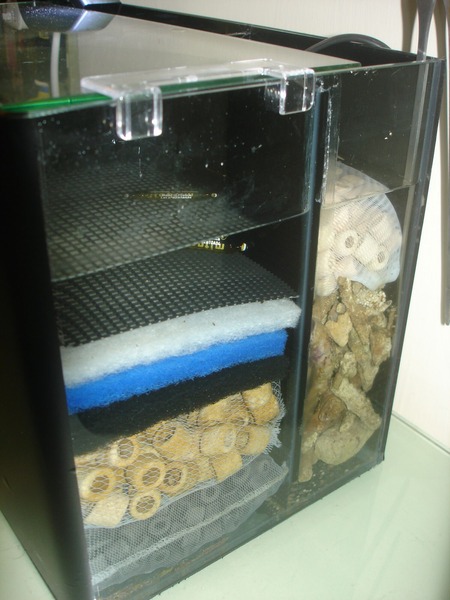 <html>
<head><title>502BadGateway</title></head>
<body>
<center><h1>502BadGateway</h1></center>
<hr><center>nginx</center>
</body>
</html>
<!--apaddingtodisableMSIEandChromefriendlyerrorpage-->
<!--apaddingtodisableMSIEandChromefriendlyerrorpage-->
<!--apaddingtodisableMSIEandChromefriendlyerrorpage-->
<!--apaddingtodisableMSIEandChromefriendlyerrorpage-->
<!--apaddingtodisableMSIEandChromefriendlyerrorpage-->
<!--apaddingtodisableMSIEandChromefriendlyerrorpage-->
