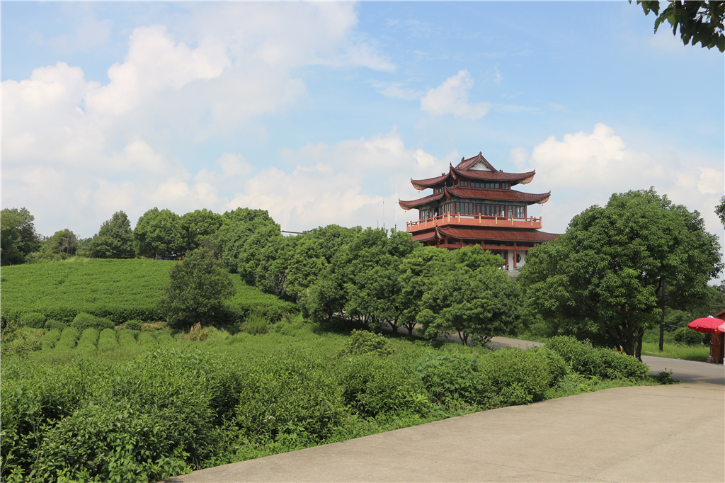 品农家菜肴田园生活,嘉兴南北湖农家乐推荐