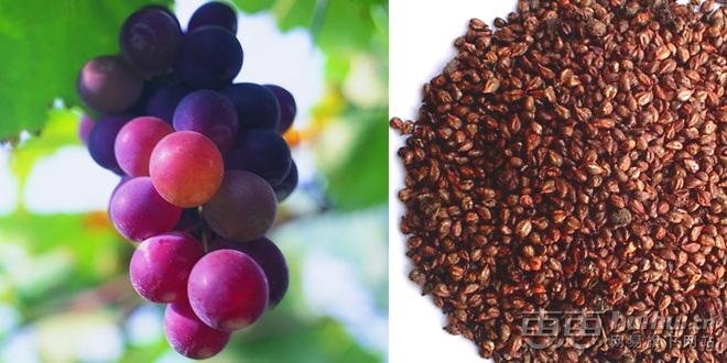 真正爱你的人就是不化妆,姑娘要清醒要温柔要知进退