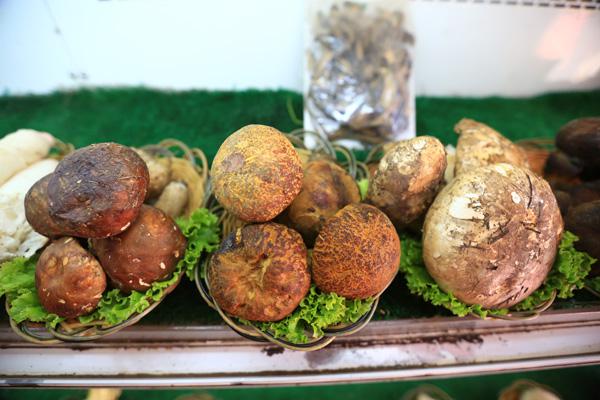 昆明有哪些最好的特产,昆明有哪些特产是正宗的