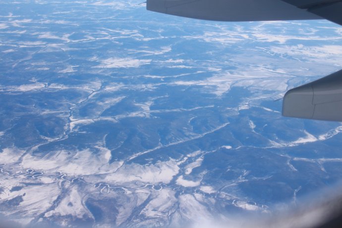 米和面有虫子还能吃吗,米和面里的虫子