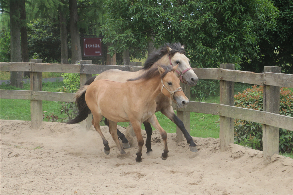 嘉兴南北湖农家乐推荐,嘉兴南北湖农家