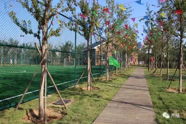 齐文化博物院蹴鞠表演队,蹴鞠节