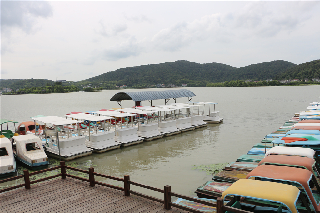 品农家菜,品农家美食