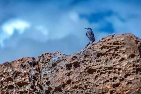 台湾花莲是在台北还是台南,台湾花莲在台南还是台北
