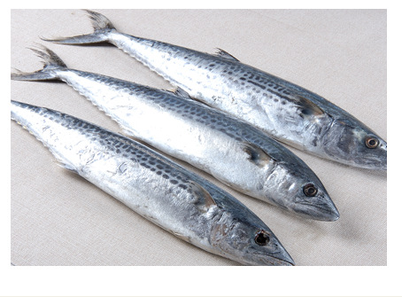 中国人经常吃的海鱼,中国人一般常吃的鱼