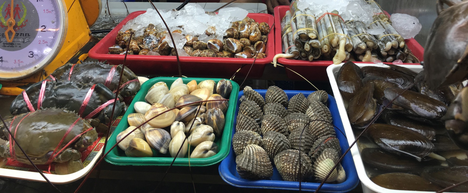 去沙巴值得买的东西在哪里买,沙巴亚庇一日游最佳路线