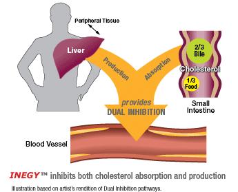 西方能量医学研究：平衡电场—所有疾病治愈的秘密