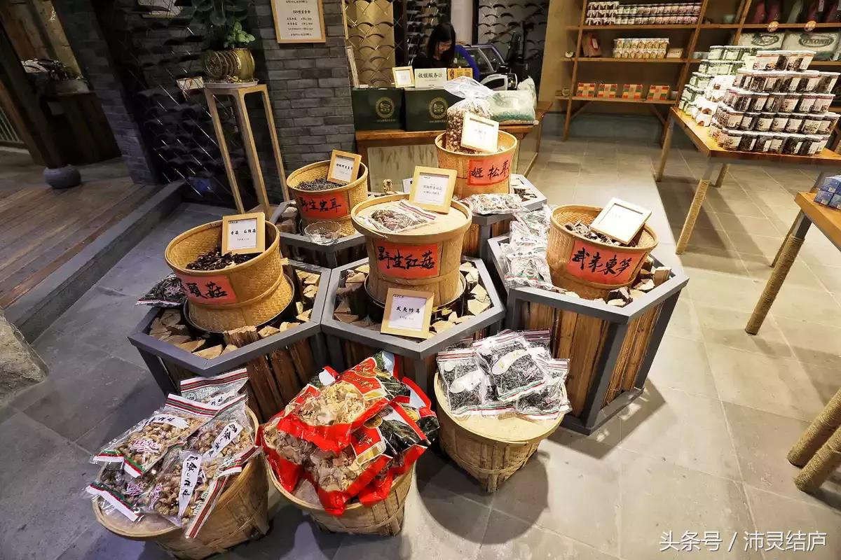 如果你只有一天的时间去乐山,如果你只有两天时间游南京