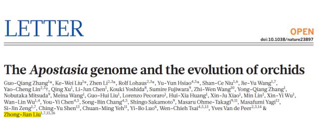 兰花进化的秘密,兰花进化的百年谜团